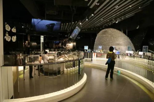 潮人新玩法,3條線路帶你玩轉佛山